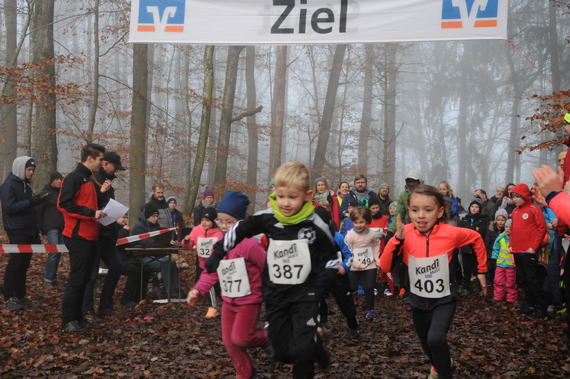 Crosslauf im Grünewaldnebel