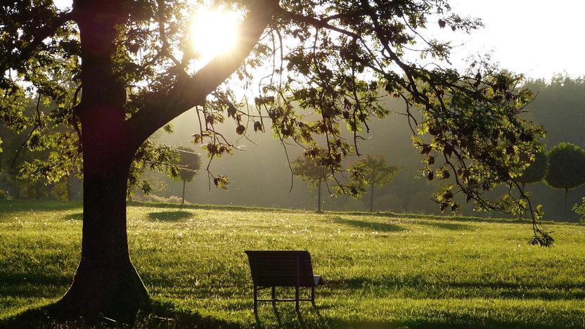 bewegung seele