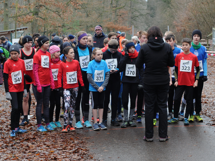 Crosslauf  im Grünewald