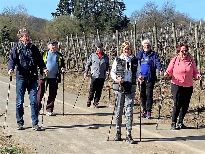 Rehasport in den Weinbergen